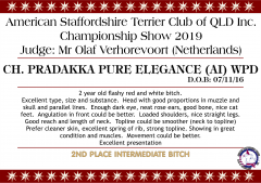 Ch. Pradakka Pure Elegance (AI) WPD.png